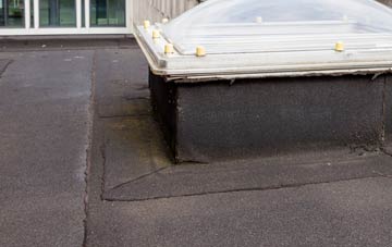 disadvantages of Treslothan flat roofs