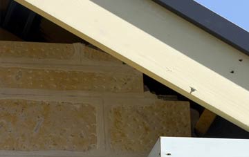 soffit repair Treslothan