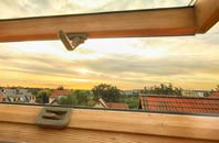 rated Treslothan roof window companies